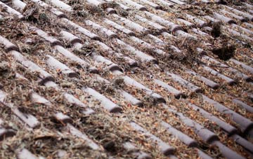 Barnehurst roof cleaning companies